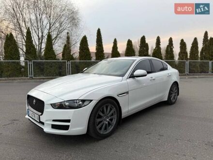 Ягуар XE 2016 в Киеве на Automoto.ua Белый Ягуар XE, объемом двигателя 2 л и пробегом 67 тыс. км за 16700 $, фото 1 на Automoto.ua