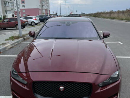 Ягуар XE 2016 в Виннице на Automoto.ua Красный Ягуар XE, объемом двигателя 2 л и пробегом 164 тыс. км за 14000 $, фото 1 на Automoto.ua