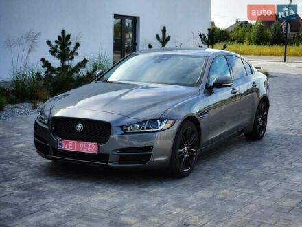 Ягуар XE 2017 у Луцьку на Automoto.ua Сірий Ягуар XE, об'ємом двигуна 2 л та пробігом 130 тис. км за 16200 $, фото 1 на Automoto.ua