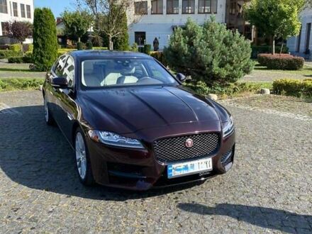 Ягуар ХФ 2018 в Киеве на Automoto.ua Красный Ягуар ХФ, объемом двигателя 2 л и пробегом 97 тыс. км за 25800 $, фото 1 на Automoto.ua