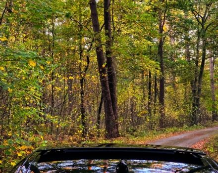 Чорний Ягуар ХФР, об'ємом двигуна 2 л та пробігом 110 тис. км за 20282 $, фото 18 на Automoto.ua