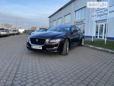 Ягуар Икс Джей 2016 в Львове на Automoto.ua Фиолетовый Ягуар Икс Джей, объемом двигателя 3 л и пробегом 124 тыс. км за 34000 $, фото 1 на Automoto.ua
