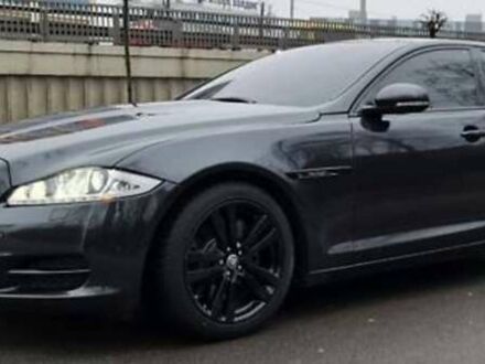 Ягуар XJL 2013 в Киеве на Automoto.ua Серый Ягуар XJL, объемом двигателя 3 л и пробегом 230 тыс. км за 30000 $, фото 1 на Automoto.ua