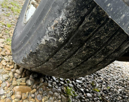 Дженмил НВ, объемом двигателя 0 л и пробегом 430 тыс. км за 19200 $, фото 12 на Automoto.ua