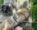 ЯВА 360, объемом двигателя 0.35 л и пробегом 0 тыс. км за 750 $, фото 7 на Automoto.ua