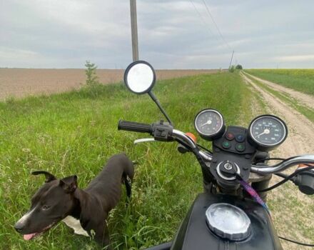 ЯВА Другая, объемом двигателя 0.35 л и пробегом 0 тыс. км за 528 $, фото 1 на Automoto.ua