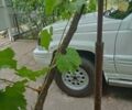 Белый Джип Чероки, объемом двигателя 4 л и пробегом 200 тыс. км за 5300 $, фото 9 на Automoto.ua