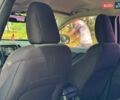 Белый Джип Чероки, объемом двигателя 2.36 л и пробегом 157 тыс. км за 11999 $, фото 25 на Automoto.ua