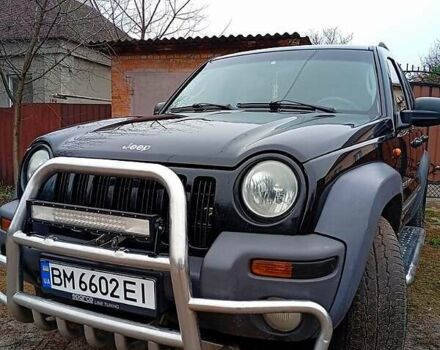 Черный Джип Чероки, объемом двигателя 2.4 л и пробегом 284 тыс. км за 6200 $, фото 6 на Automoto.ua