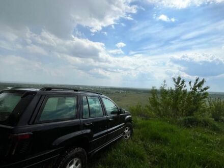 Джип Cherokee 2000 у Глухове на Automoto.ua Чорний Джип Cherokee, об'ємом двигуна 3 л та пробігом 220 тис. км за 4150 $, фото 1 на Automoto.ua