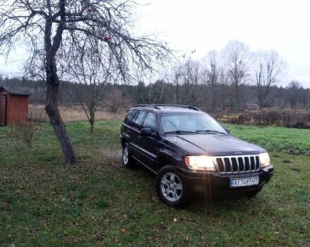 Фиолетовый Джип Чероки, объемом двигателя 3.1 л и пробегом 320 тыс. км за 6500 $, фото 7 на Automoto.ua