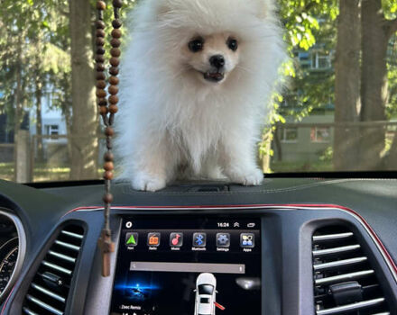 Красный Джип Чероки, объемом двигателя 2.36 л и пробегом 75 тыс. км за 15300 $, фото 9 на Automoto.ua