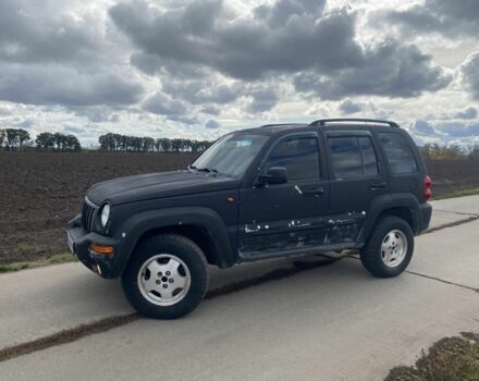 Джип Чероки 2002 в Золотоноше на Automoto.ua Серый Джип Чероки, объемом двигателя 2.5 л и пробегом 220 тыс. км за 3700 $, фото 4 на Automoto.ua