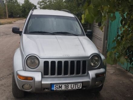 Джип Чероки 2002 в Покровском на Automoto.ua Серый Джип Чероки, объемом двигателя 2.5 л и пробегом 250 тыс. км за 2900 $, фото 1 на Automoto.ua