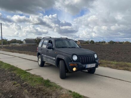 Джип Чероки 2002 в Золотоноше на Automoto.ua Серый Джип Чероки, объемом двигателя 2.5 л и пробегом 220 тыс. км за 3700 $, фото 1 на Automoto.ua