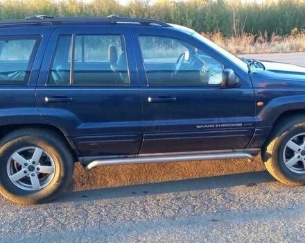 Джип Чероки 2000 в Запорожье на Automoto.ua Синий Джип Чероки, объемом двигателя 3.1 л и пробегом 285 тыс. км за 5500 $, фото 1 на Automoto.ua