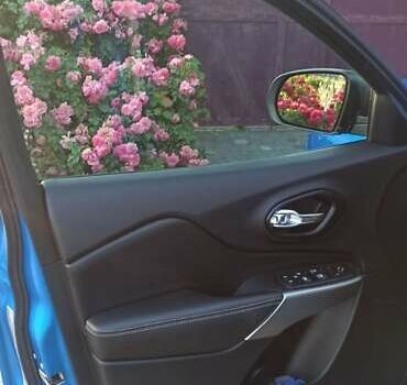 Синий Джип Чероки, объемом двигателя 3.2 л и пробегом 40 тыс. км за 22500 $, фото 49 на Automoto.ua