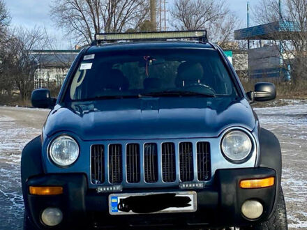 Синий Джип Чероки, объемом двигателя 2.5 л и пробегом 120 тыс. км за 7500 $, фото 1 на Automoto.ua