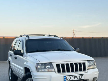 Джип Гранд Чероки 2003 в Хмельницком на Automoto.ua Белый Джип Гранд Чероки, объемом двигателя 3.96 л и пробегом 368 тыс. км за 5700 $, фото 1 на Automoto.ua