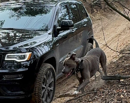 Черный Джип Гранд Чероки, объемом двигателя 5.65 л и пробегом 86 тыс. км за 35000 $, фото 5 на Automoto.ua