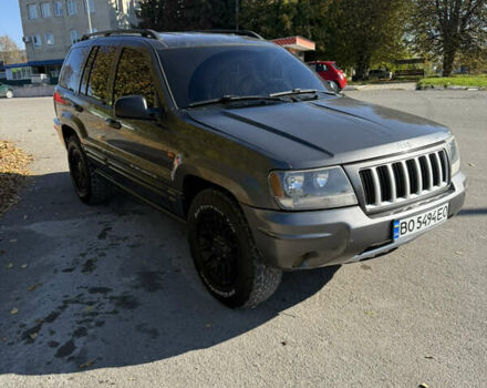 Джип Гранд Чероки 2004 в Каменце-Подольском на Automoto.ua Серый Джип Гранд Чероки, объемом двигателя 2.69 л и пробегом 440 тыс. км за 8300 $, фото 2 на Automoto.ua