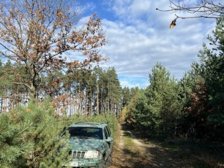 Джип Гранд Чероки 2001 в Киеве на Automoto.ua Синий Джип Гранд Чероки, объемом двигателя 3.1 л и пробегом 235 тыс. км за 4200 $, фото 1 на Automoto.ua