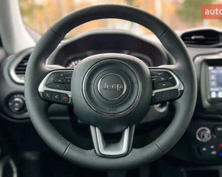 Серый Джип Ренегат, объемом двигателя 2.4 л и пробегом 46 тыс. км за 15800 $, фото 10 на Automoto.ua