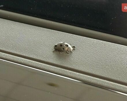 купить новое авто Джип Avenger 2025 года от официального дилера JEEP ЦЕНТР ОДЕСА ТОВ «АДІС-МОТОР» Джип фото