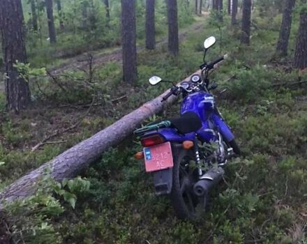 Джианше ЖС, об'ємом двигуна 0 л та пробігом 2 тис. км за 700 $, фото 5 на Automoto.ua