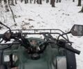 Зелений Джианше JS 250ATV-5, об'ємом двигуна 0.25 л та пробігом 3 тис. км за 2200 $, фото 1 на Automoto.ua