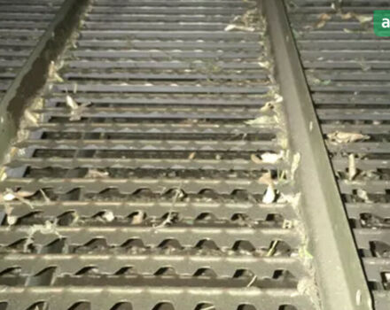 Джон Дір 1072 1983 у Золотоноше на Automoto.ua Джон Дір 1072, об'ємом двигуна 0 л та пробігом 0 тис. км за 24500 $, фото 4 на Automoto.ua