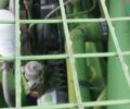 Джон Дир 1085, объемом двигателя 0 л и пробегом 0 тыс. км за 21000 $, фото 13 на Automoto.ua
