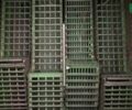 Джон Дир 2066, объемом двигателя 7.6 л и пробегом 100 тыс. км за 44860 $, фото 40 на Automoto.ua