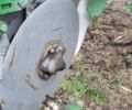 Джон Дір 2126, об'ємом двигуна 0 л та пробігом 2 тис. км за 17000 $, фото 3 на Automoto.ua