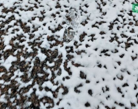 Джон Дир 4830 2008 в Белой Церкве на Automoto.ua Джон Дир 4830, объемом двигателя 0 л и пробегом 0 тыс. км за 159000 $, фото 7 на Automoto.ua