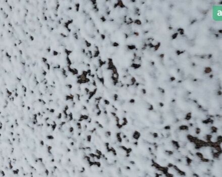 Джон Дір 4830, об'ємом двигуна 0 л та пробігом 0 тис. км за 235000 $, фото 12 на Automoto.ua