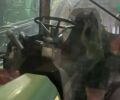 Джон Дир 4930, объемом двигателя 0 л и пробегом 0 тыс. км за 101917 $, фото 2 на Automoto.ua