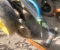 Зеленый Джон Дир 750, объемом двигателя 0 л и пробегом 0 тыс. км за 22000 $, фото 3 на Automoto.ua