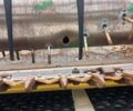 Джон Дір 925F, об'ємом двигуна 0 л та пробігом 0 тис. км за 19500 $, фото 2 на Automoto.ua