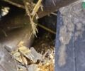 Джон Дир 960, объемом двигателя 0 л и пробегом 0 тыс. км за 24850 $, фото 57 на Automoto.ua