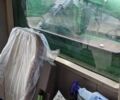 Зеленый Джон Дир СТС, объемом двигателя 0 л и пробегом 0 тыс. км за 84315 $, фото 5 на Automoto.ua