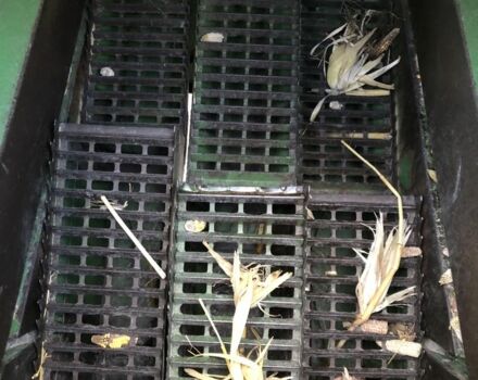 Джон Дир Другая 1966 в Ровно на Automoto.ua Джон Дир Другая, объемом двигателя 3.97 л и пробегом 0 тыс. км за 7959 $, фото 9 на Automoto.ua