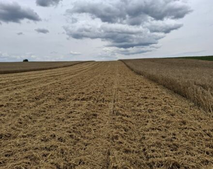 Джон Дир Другая, объемом двигателя 0 л и пробегом 0 тыс. км за 17550 $, фото 9 на Automoto.ua