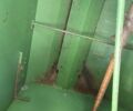 Джон Дир Другая, объемом двигателя 0 л и пробегом 0 тыс. км за 16800 $, фото 11 на Automoto.ua