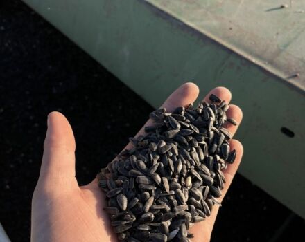 Джон Дир Другая, объемом двигателя 6 л и пробегом 0 тыс. км за 21000 $, фото 5 на Automoto.ua