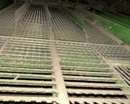 Джон Дір Другая, об'ємом двигуна 8.1 л та пробігом 0 тис. км за 55000 $, фото 1 на Automoto.ua