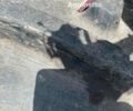 Зелений Джон Дір Другая, об'ємом двигуна 0 л та пробігом 0 тис. км за 65250 $, фото 22 на Automoto.ua
