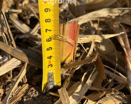 Зеленый Джон Дир Другая, объемом двигателя 0 л и пробегом 0 тыс. км за 20948 $, фото 19 на Automoto.ua