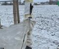 КС 2.1, объемом двигателя 0 л и пробегом 0 тыс. км за 243 $, фото 3 на Automoto.ua