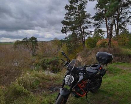 Сірий КТМ 390 Duke, об'ємом двигуна 0.39 л та пробігом 24 тис. км за 4950 $, фото 11 на Automoto.ua